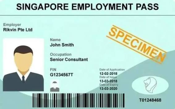 Employment and work pass