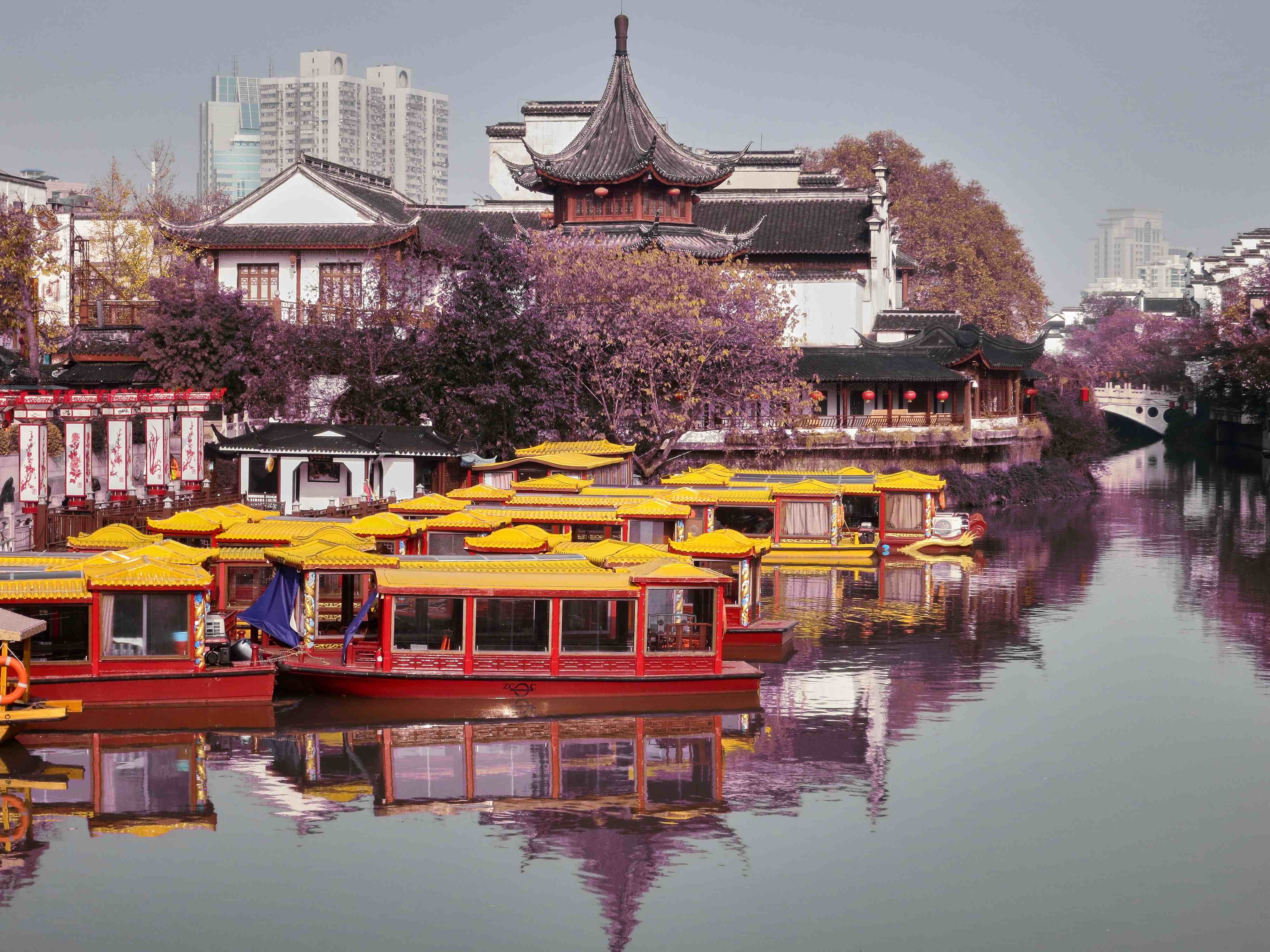 Nanjing Mandarin camp