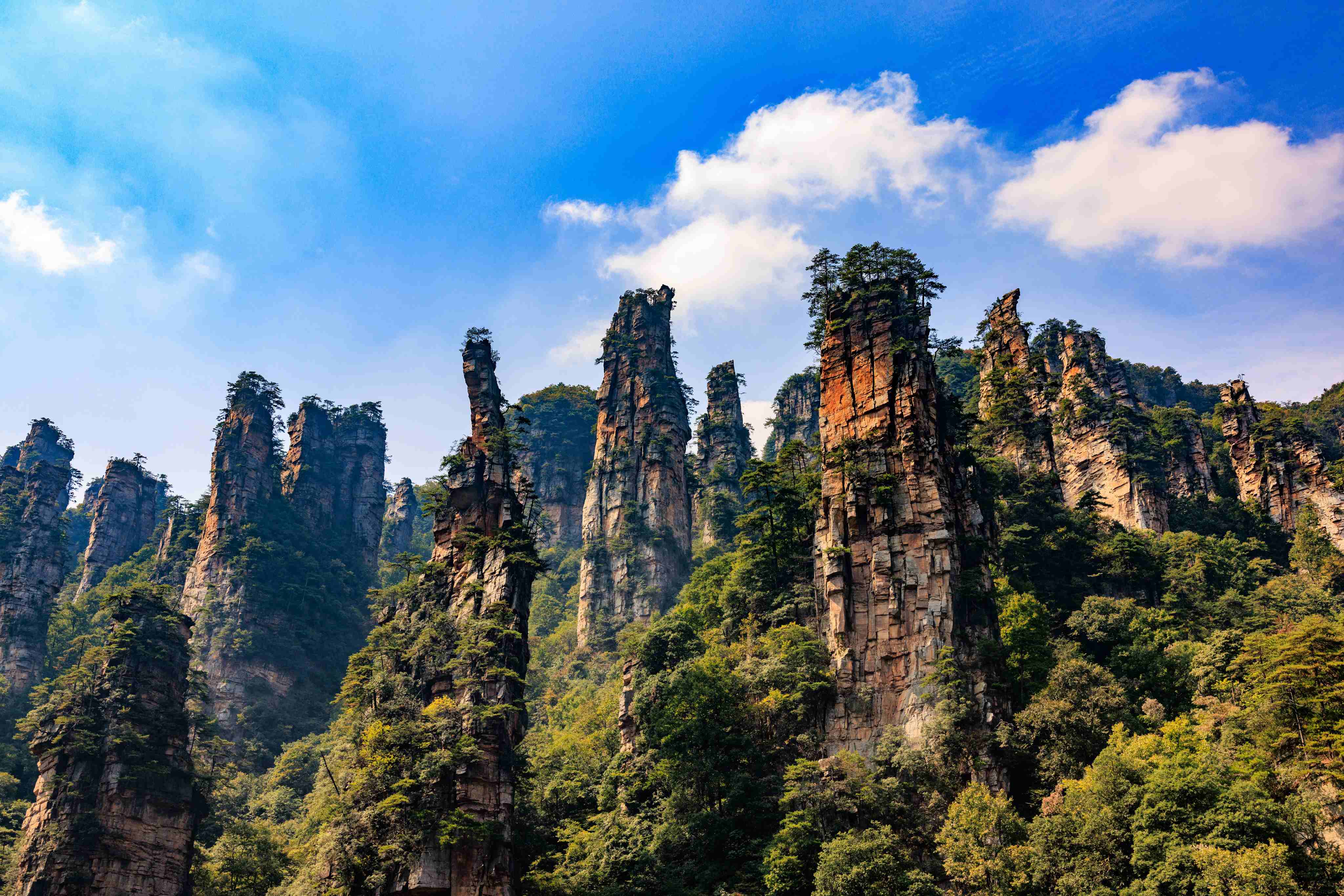 Zhangjiajie Mandarin camp