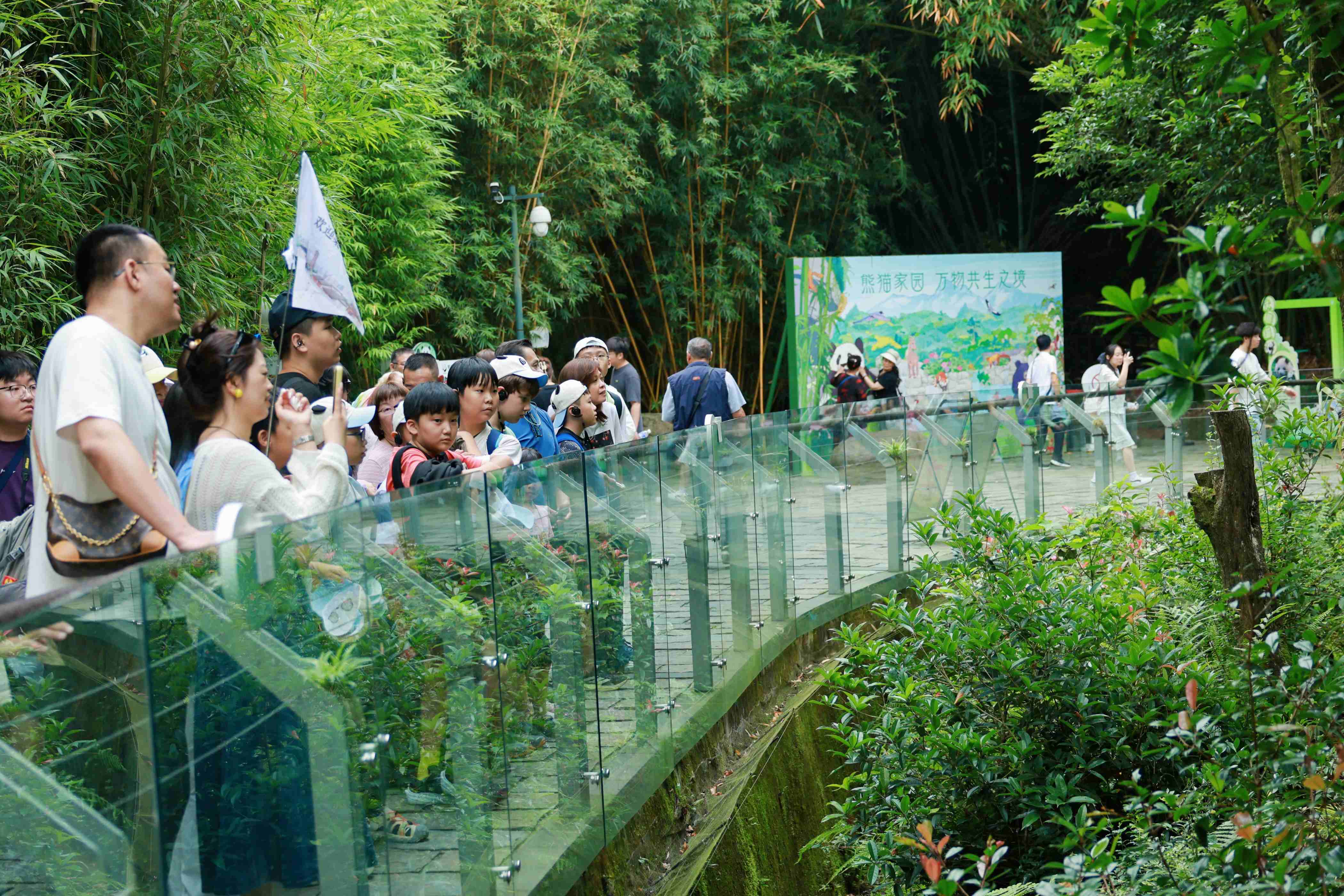 Giant panda base visit in Chengdu