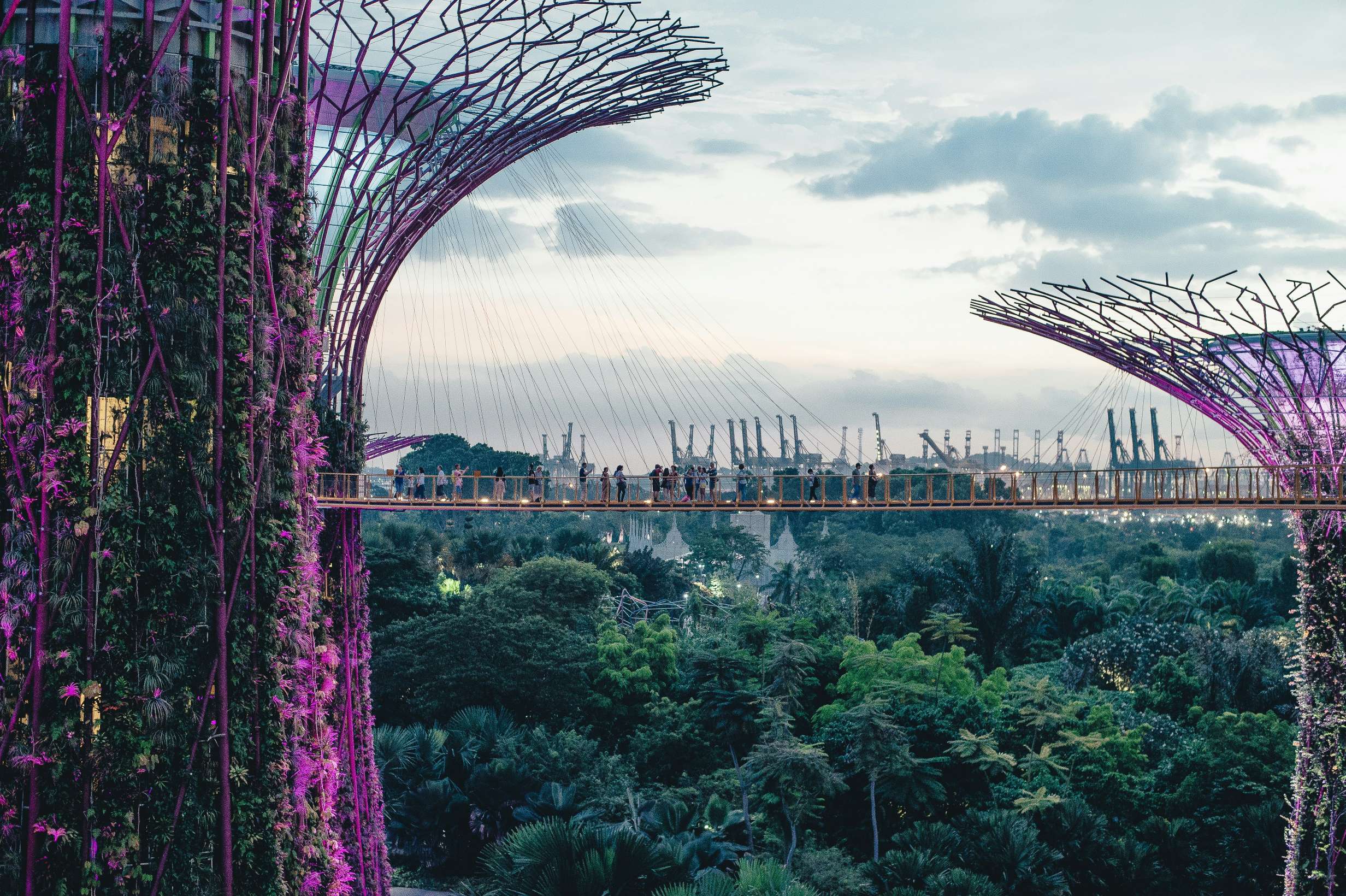 Life support in Singapore